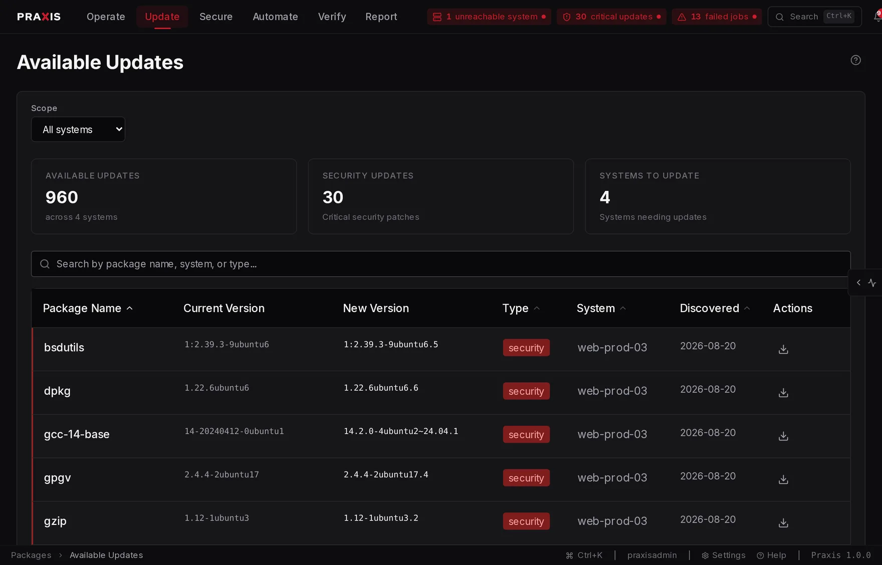 Praxis available updates: 379 pending package updates across the fleet, each row showing package name, current and new version, update type, and the host it applies to.